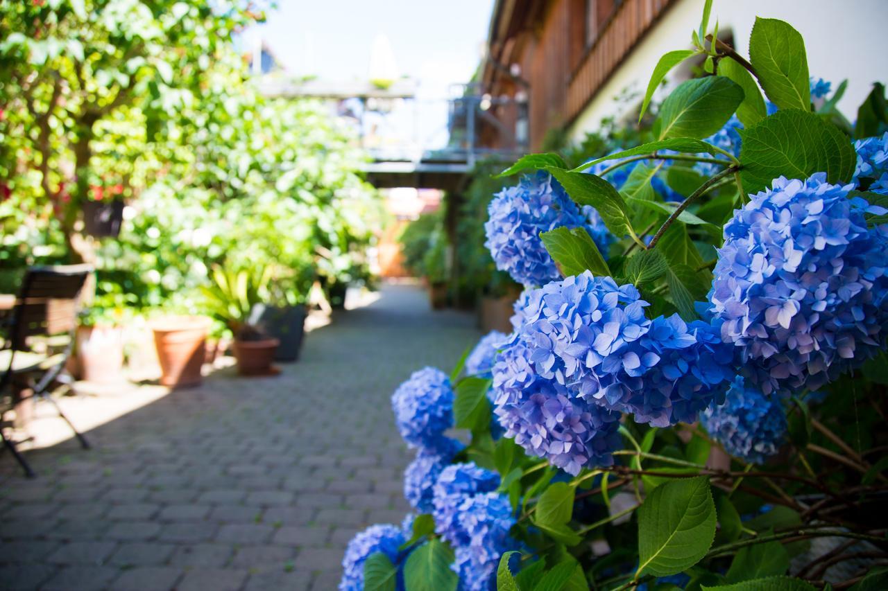 Beate'S Bed & Breakfast Münzenberg Εξωτερικό φωτογραφία